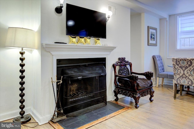 living room with wood-type flooring