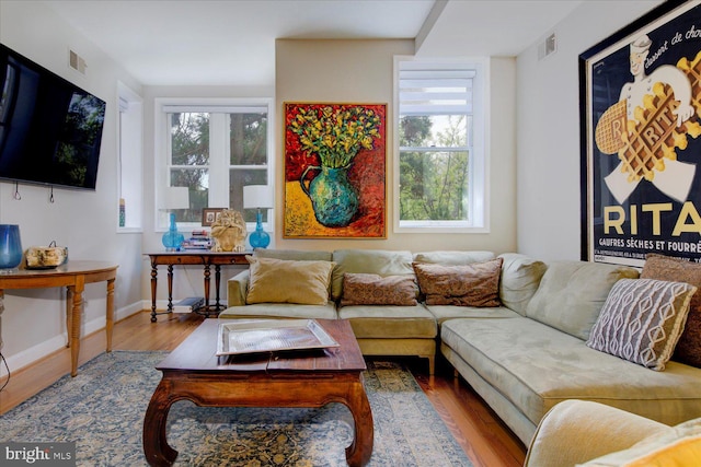 living room with wood-type flooring