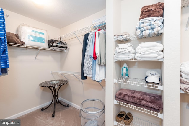 spacious closet featuring carpet flooring