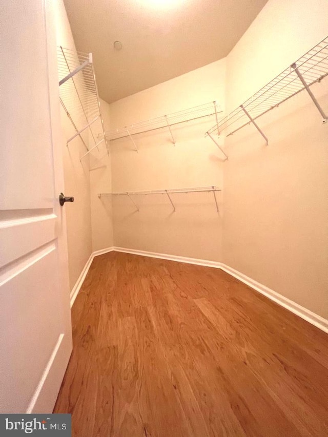 spacious closet featuring hardwood / wood-style floors