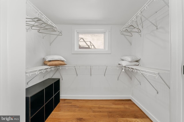 walk in closet featuring wood-type flooring