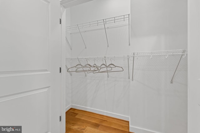 walk in closet with hardwood / wood-style floors