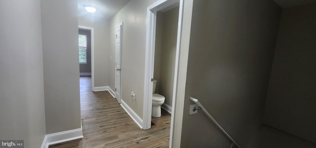 hallway featuring wood-type flooring