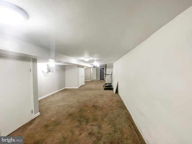 basement featuring carpet