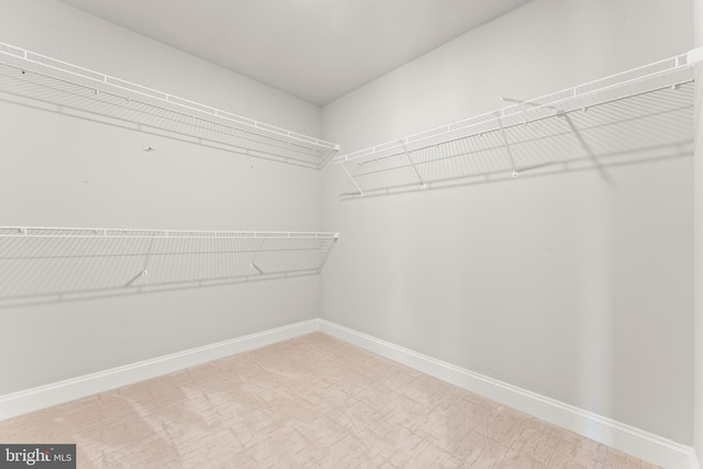 view of spacious closet