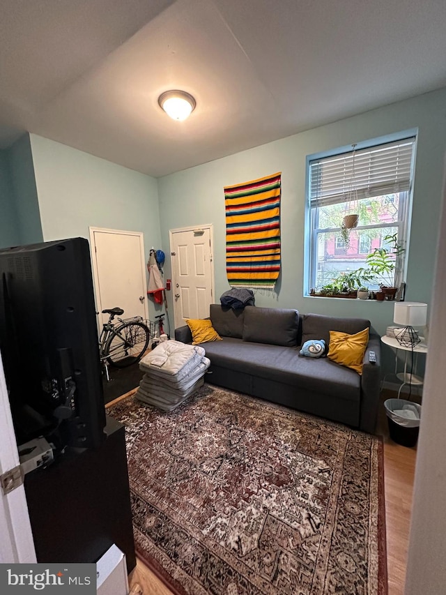 living room featuring wood-type flooring