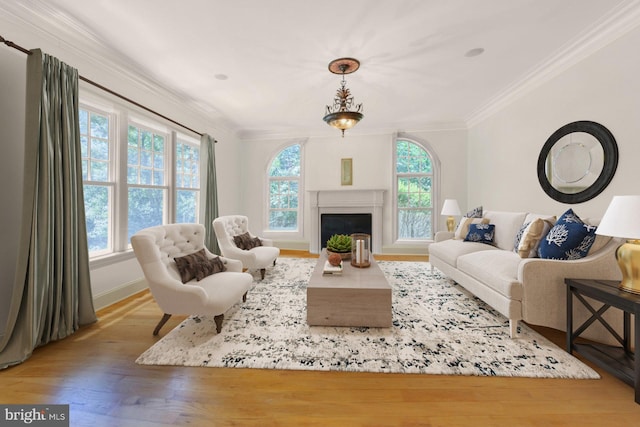 living room with ornamental molding and light hardwood / wood-style floors