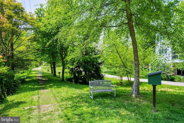 view of community with a lawn