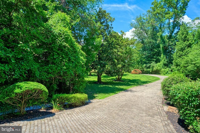 view of property's community with a lawn