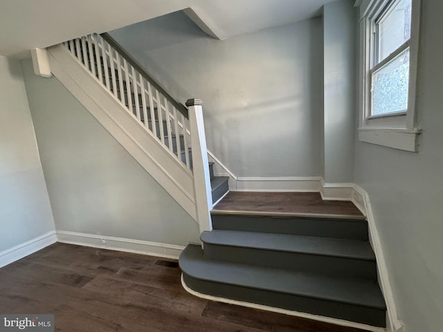 stairway with hardwood / wood-style floors