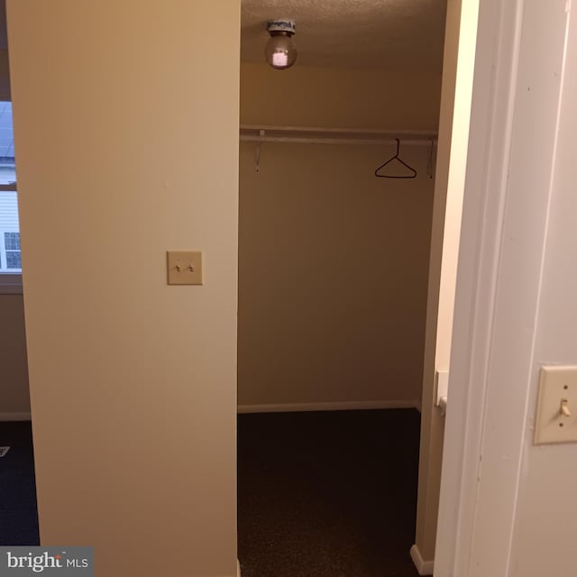 spacious closet with carpet flooring