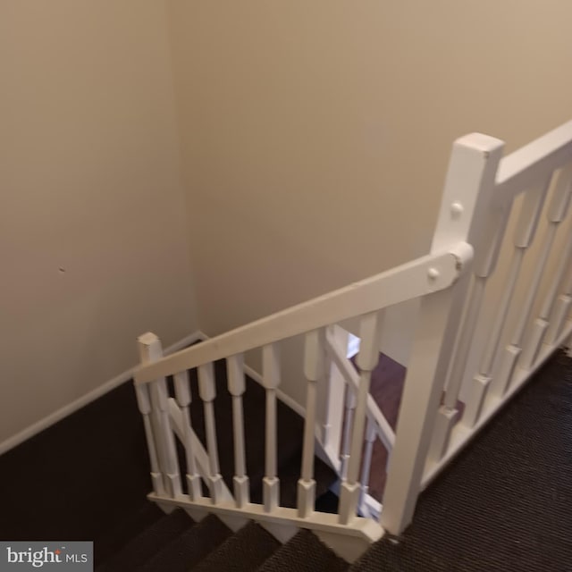 stairway with carpet flooring