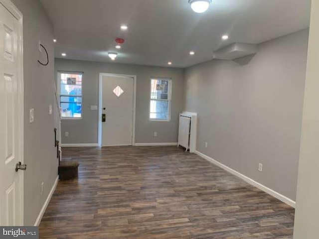 entrance foyer with dark wood-type flooring