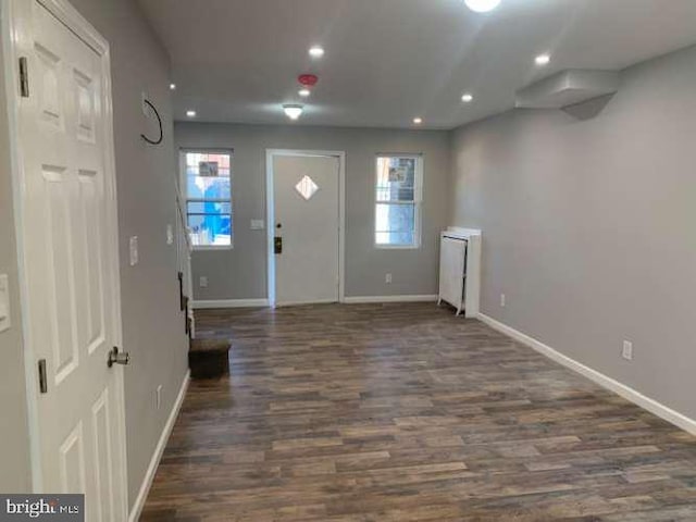 foyer entrance with dark hardwood / wood-style floors and a healthy amount of sunlight