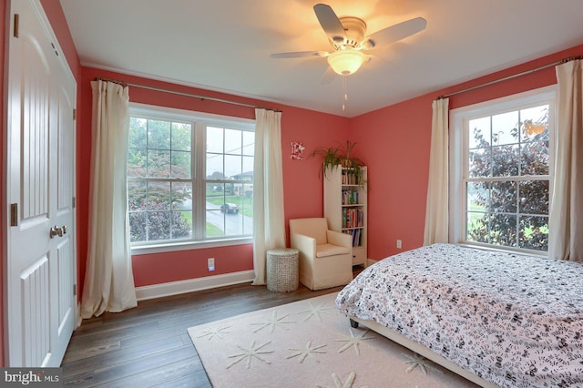 bedroom with a closet, ceiling fan, and hardwood / wood-style floors