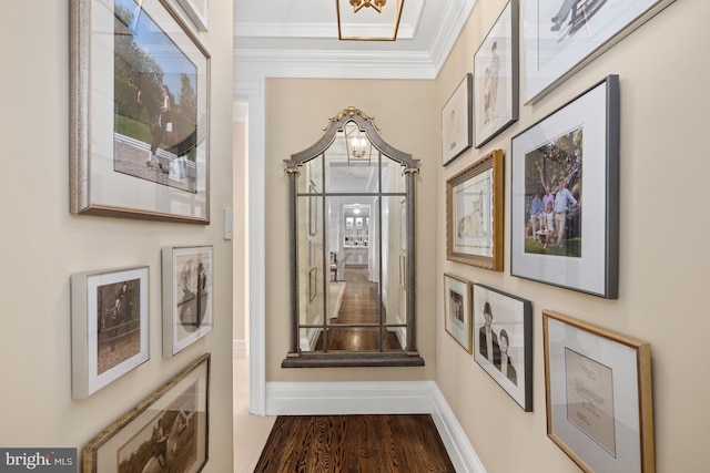 interior space with dark hardwood / wood-style floors and crown molding