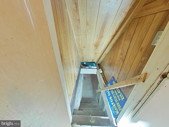 stairway featuring wood walls