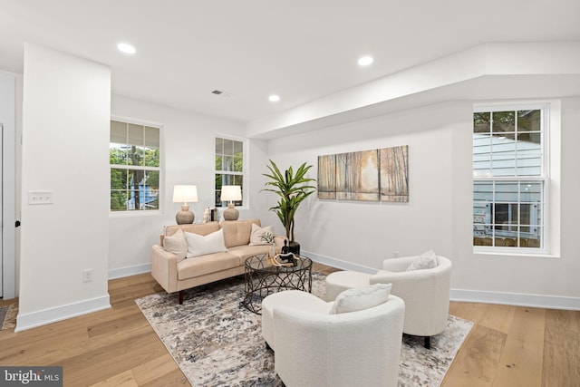 living room with light hardwood / wood-style floors and a healthy amount of sunlight