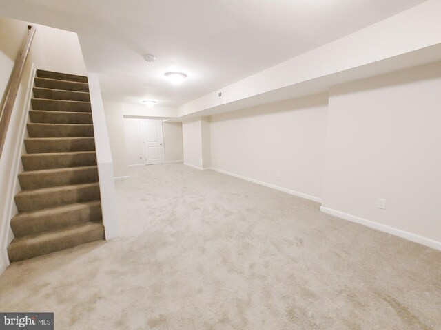 basement with carpet flooring