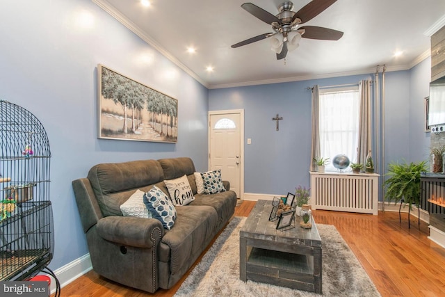 living room featuring crown molding, radiator, hardwood / wood-style floors, and ceiling fan