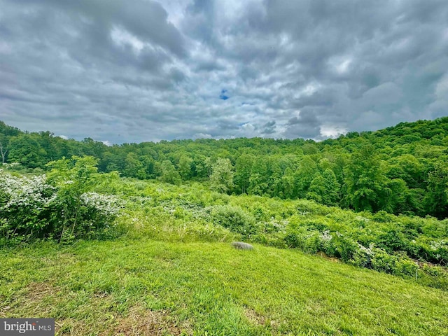 Listing photo 2 for TBD Hopewell Rd, Fairmont WV 26554