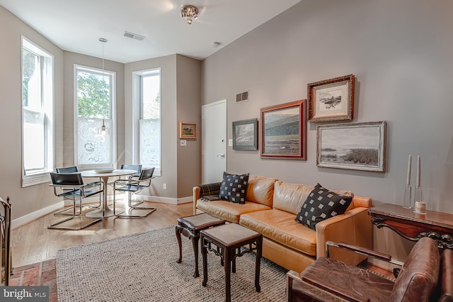 living room with light wood-type flooring