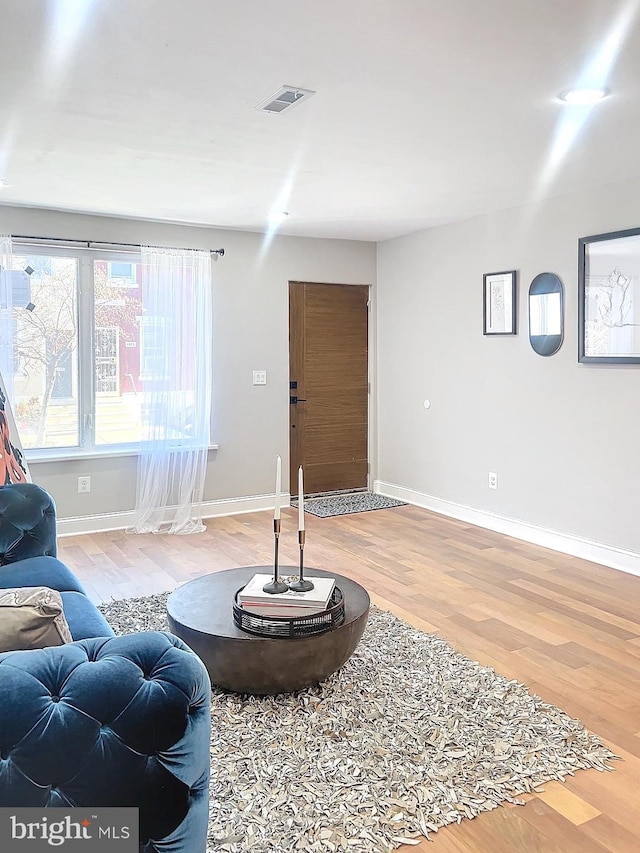 living room featuring hardwood / wood-style flooring