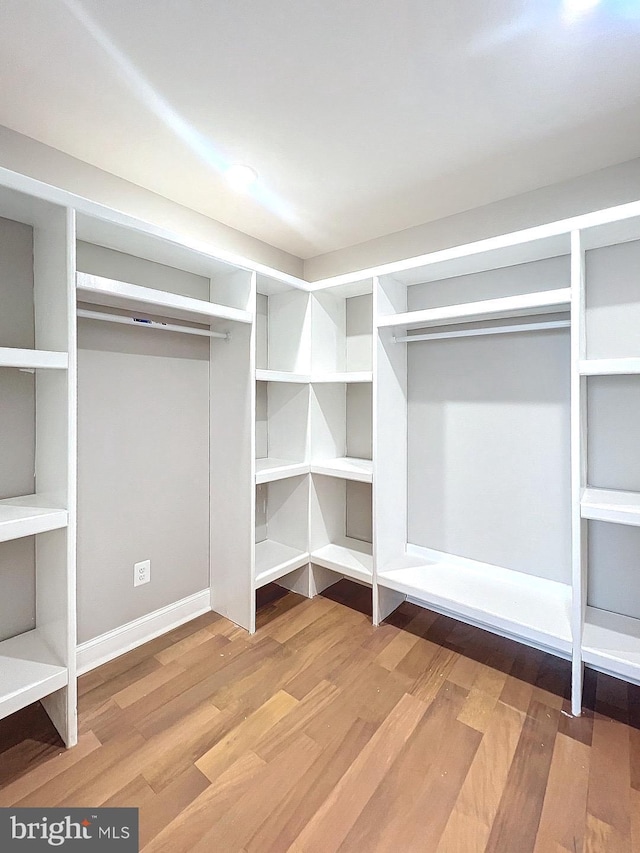 walk in closet featuring hardwood / wood-style floors