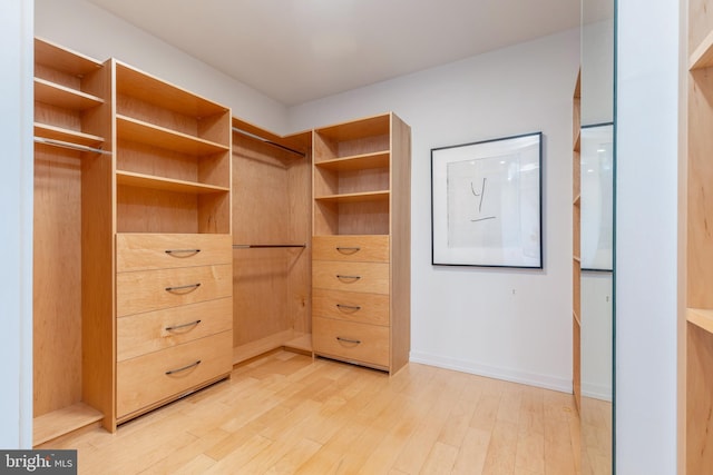 walk in closet with light wood finished floors