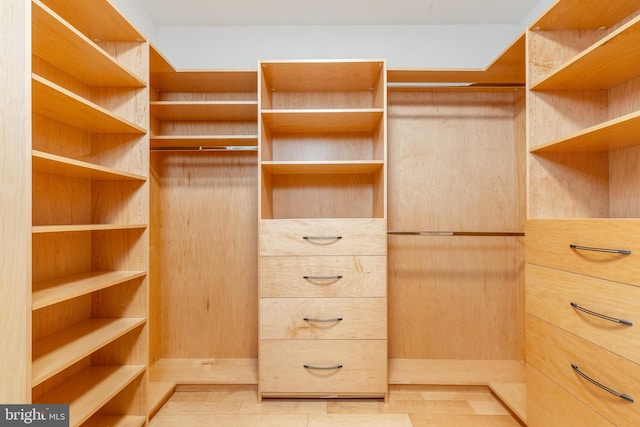 view of spacious closet