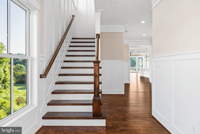 stairs with ornamental molding and hardwood / wood-style floors