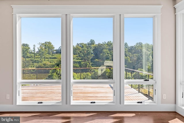 doorway to outside featuring hardwood / wood-style floors