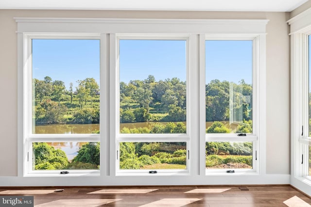 doorway featuring hardwood / wood-style flooring and a healthy amount of sunlight