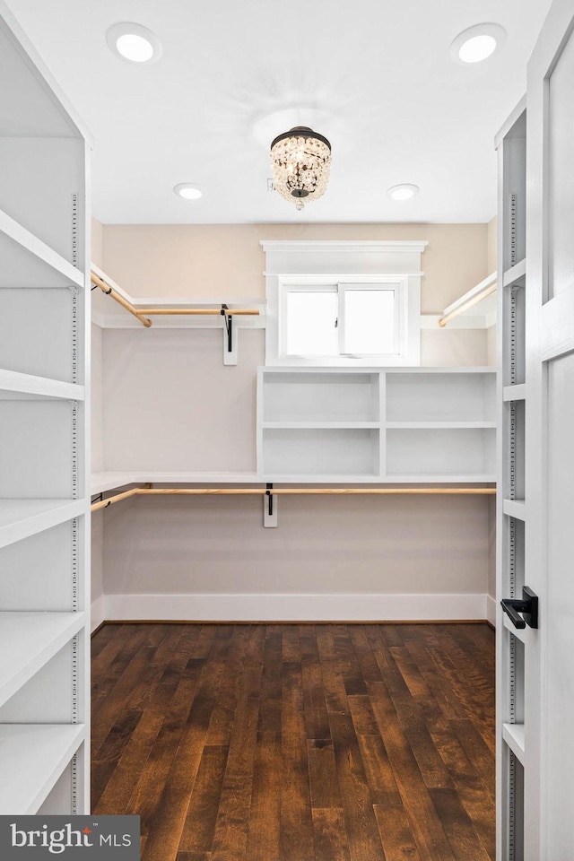 walk in closet with dark wood-type flooring