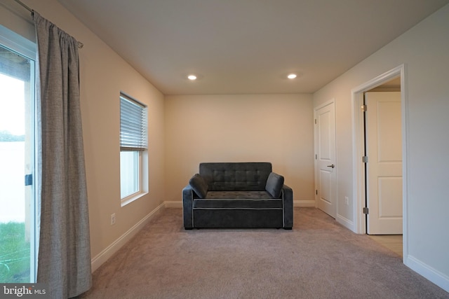 living area with light colored carpet and a wealth of natural light