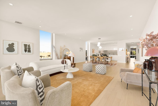 living room featuring light hardwood / wood-style flooring