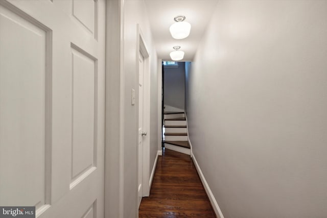 interior space featuring dark hardwood / wood-style floors