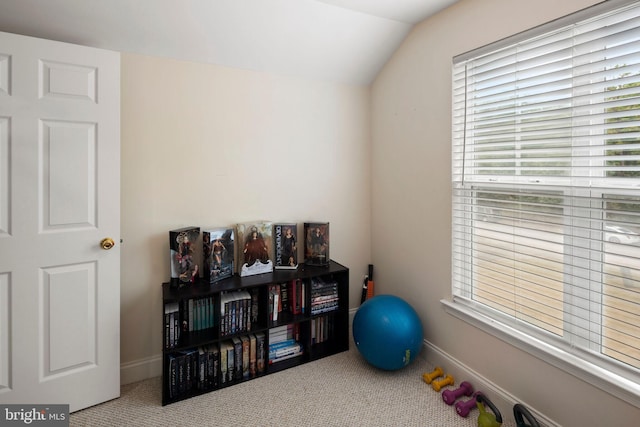 miscellaneous room featuring carpet floors and lofted ceiling