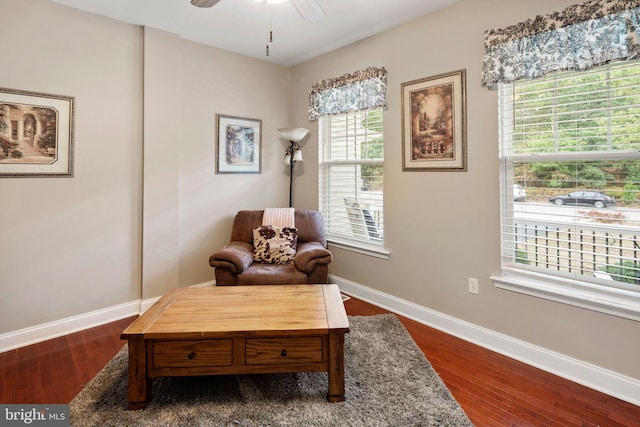 living area featuring hardwood / wood-style flooring, ceiling fan, and plenty of natural light