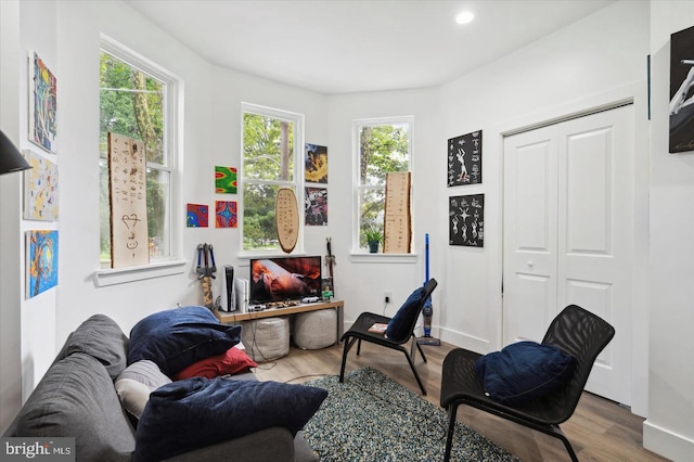 living room featuring hardwood / wood-style floors and plenty of natural light