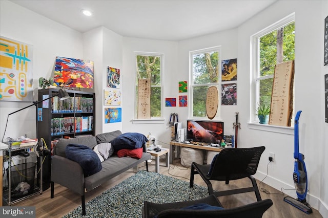 interior space with wood-type flooring and a wealth of natural light