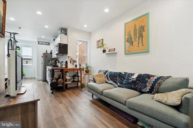 living room featuring wood-type flooring