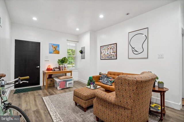 living room featuring hardwood / wood-style flooring