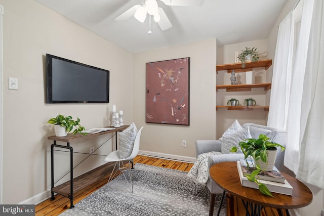 home office with wood-type flooring and ceiling fan