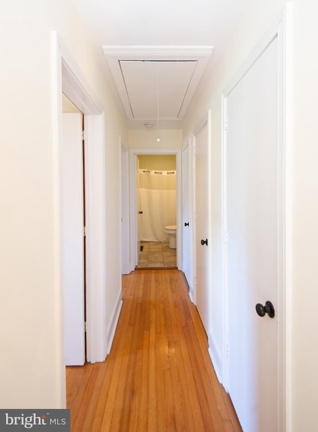 hallway featuring light wood-type flooring