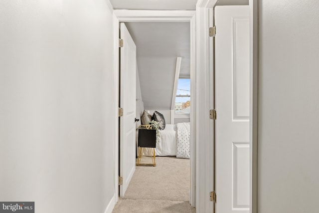 hall featuring light colored carpet