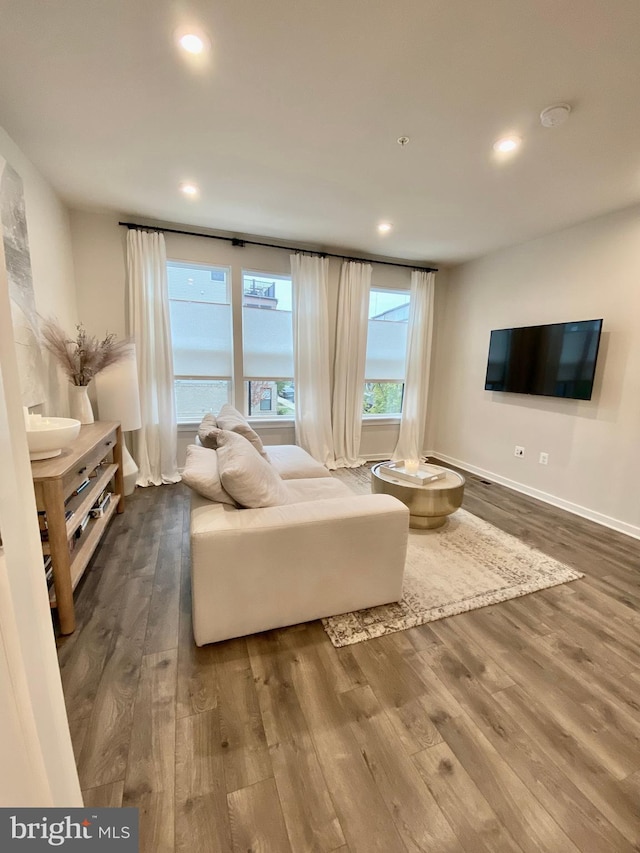 living room with hardwood / wood-style flooring