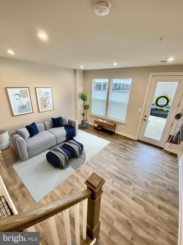 living room with wood-type flooring