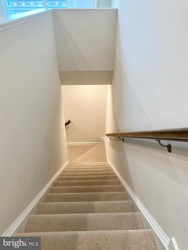 staircase with carpet floors