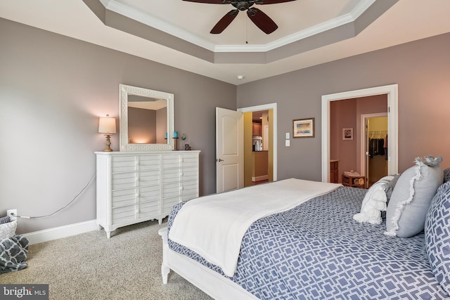 bedroom featuring crown molding, ceiling fan, carpet, and a walk in closet